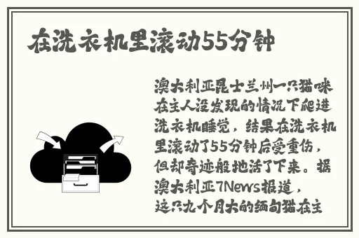 AV无码九九久久